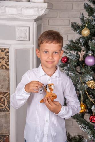 Брелок Тигр Символ года  
