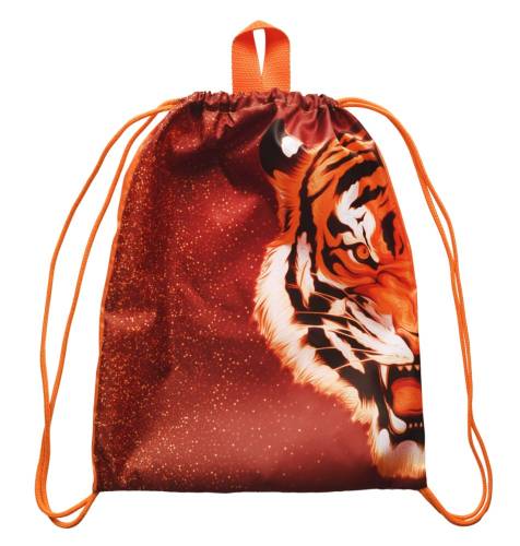 Мешок для обуви Цирк 